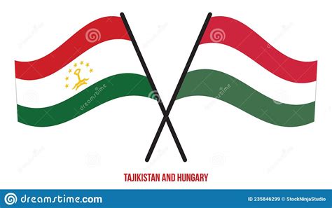 flag of tajikistan vs hungary